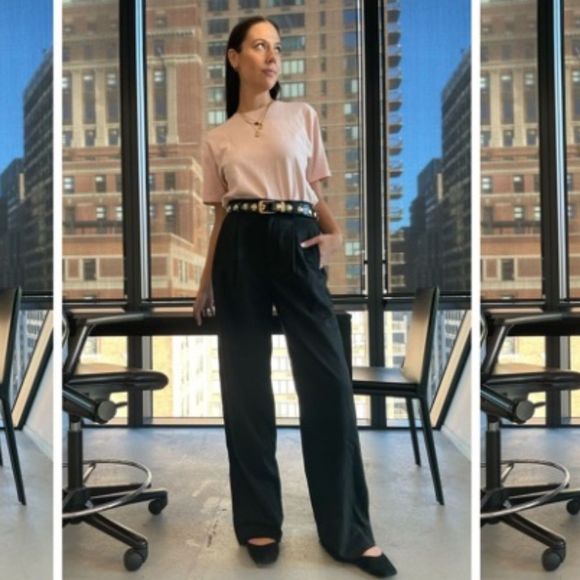 EVERLANE The Way-High Drape Pant 6S NWOT - Picture 12 of 13